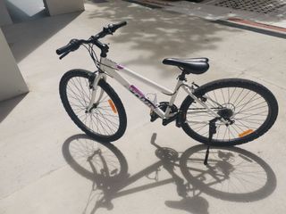 (Category: ) located in . Submitted by beach4ssils (Listing ID 1100870353, Image 1). Description: .