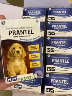 (Category: ) located in . Submitted by pets.r.us.manila (Listing ID 1100872368, Image 1). Description: .
