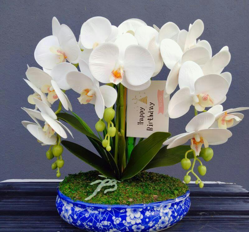 Gubahan Orkid Mini Dua Tangkai Dalam Pasu Seramik Cina Home Furniture Others On Carousell