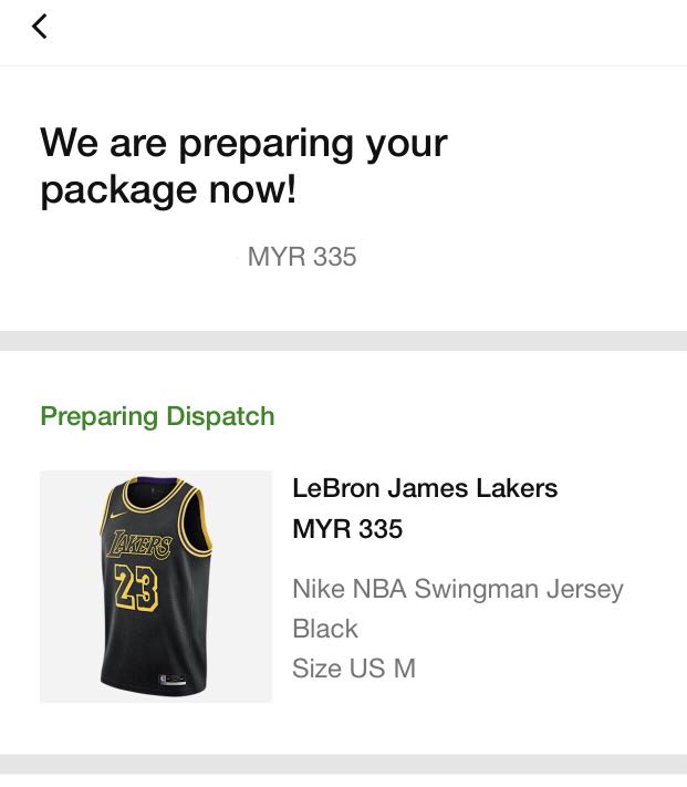 LeBron James Mamba Edition jersey, Men 