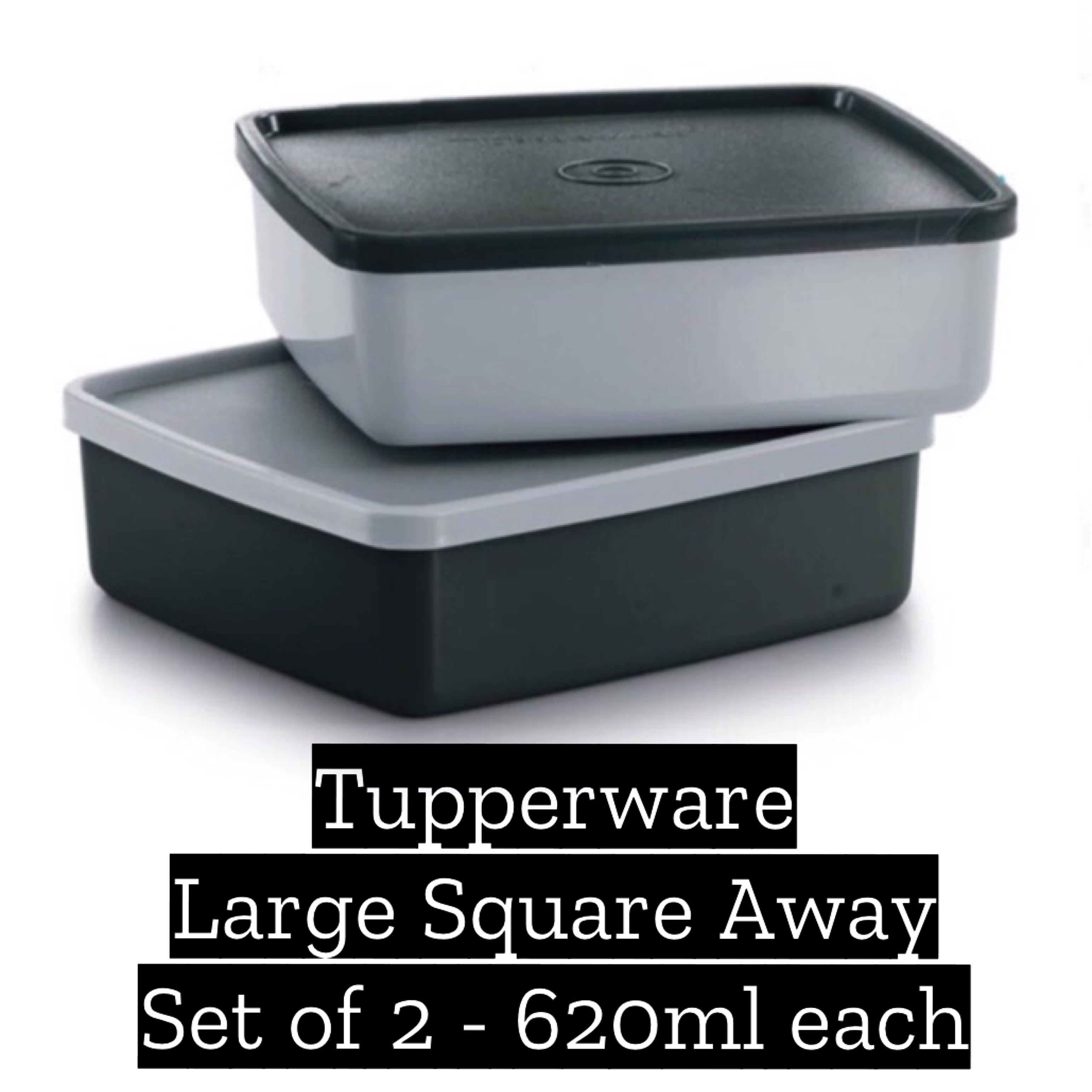 https://media.karousell.com/media/photos/products/2021/7/15/tupperware_large_square_away_s_1626373106_592c16dc.jpg