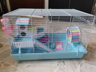 (Category: ) located in . Submitted by pet.pet.playground (Listing ID 1100841026, Image 1). Description: .