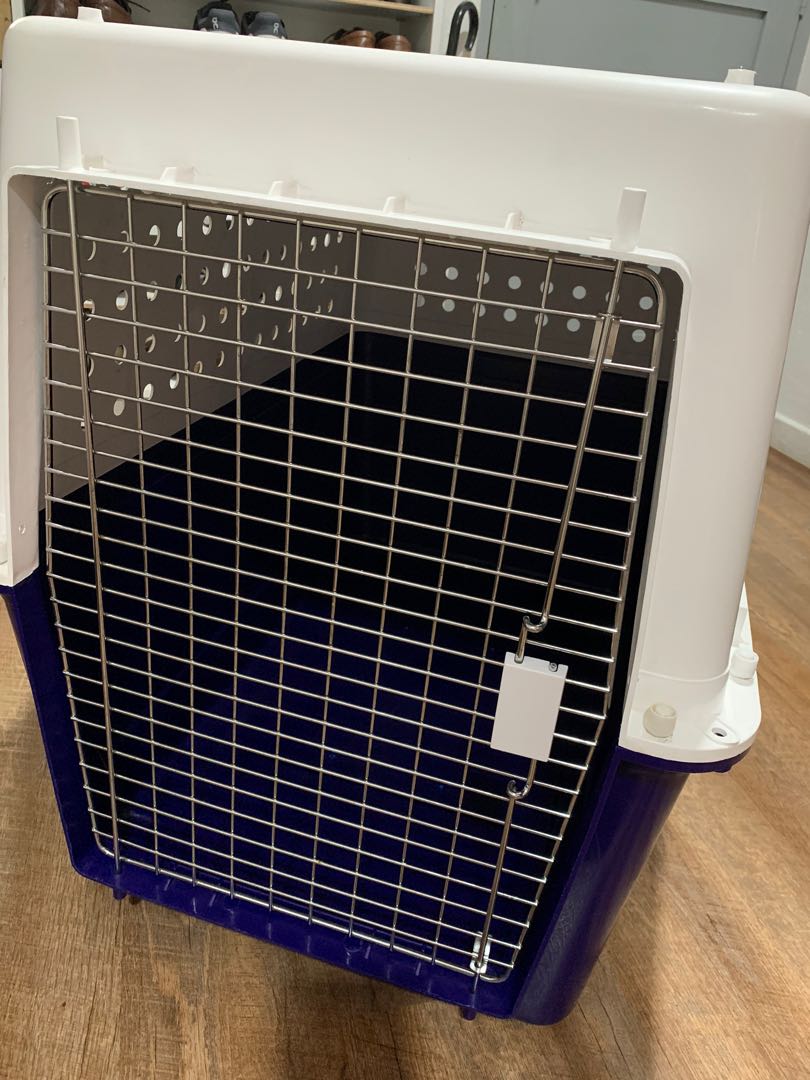 Dog Crate XL IATA approved, Pet Supplies, Homes & Other Pet Accessories
