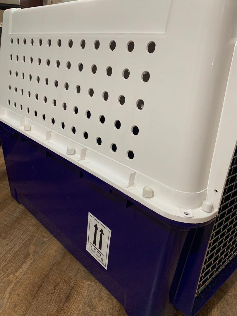 Dog Crate XL IATA approved, Pet Supplies, Homes & Other Pet Accessories