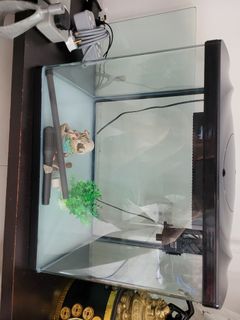 (Category: ) located in . Submitted by tgif82 (Listing ID 1101023261, Image 1). Description: .