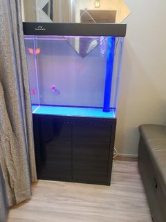 (Category: ) located in . Submitted by judeboy (Listing ID 1101195747, Image 1). Description: .