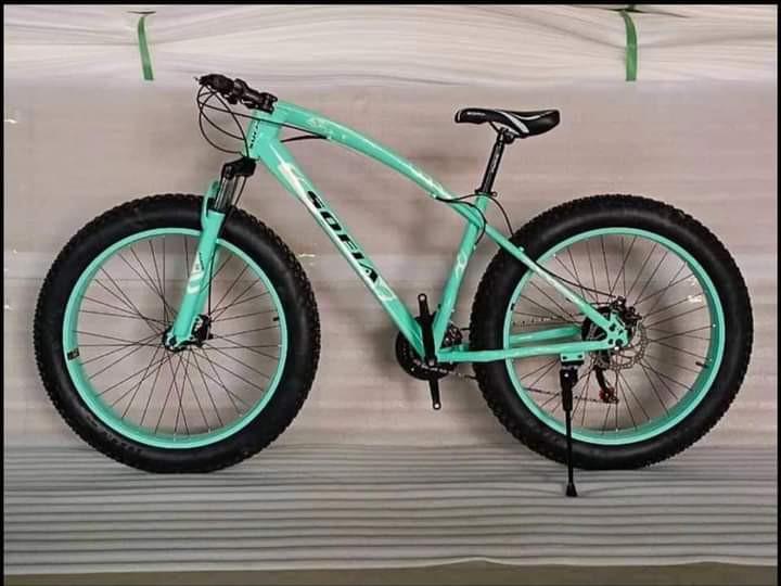 Sofia fat bike price store