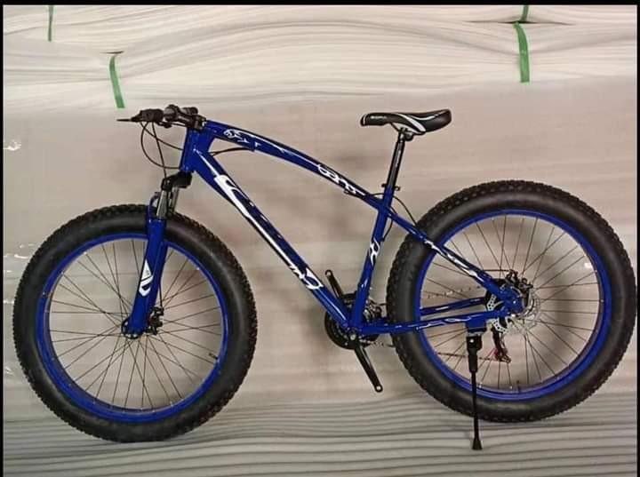 Sofia fat bike 2025 price