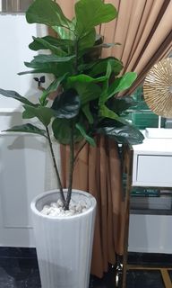 (Category: ) located in . Submitted by dija221 (Listing ID 1101139264, Image 1). Description: .