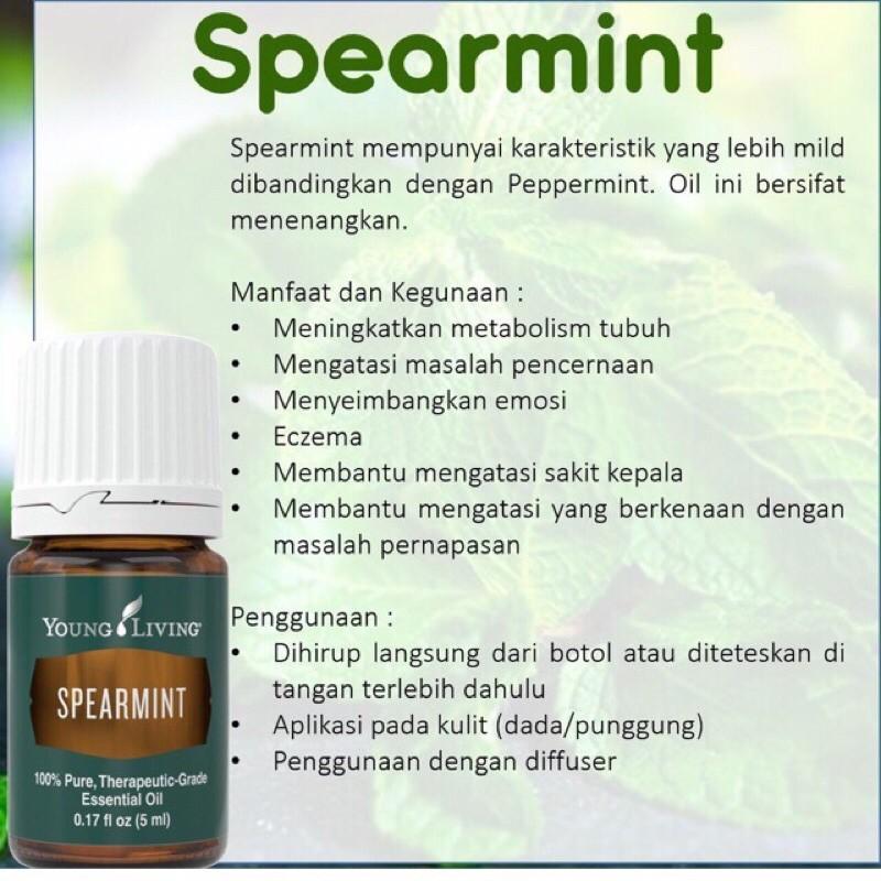 Spearmint top young living