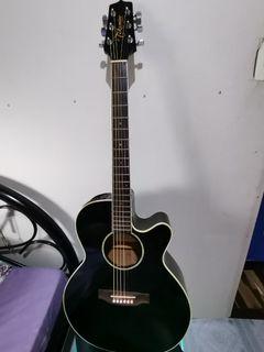 Acoustic Guitar Takamine  EG411SC G series