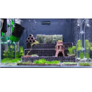 (Category: ) located in . Submitted by pl.99 (Listing ID 1101394919, Image 1). Description: .