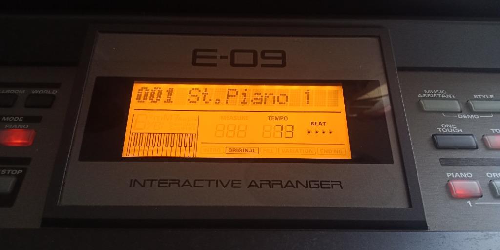 Roland e09 hotsell for sale