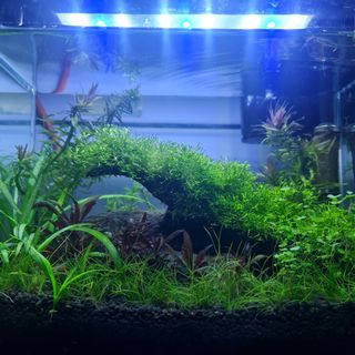 (Category: ) located in . Submitted by sunny21572002 (Listing ID 1101291608, Image 1). Description: .