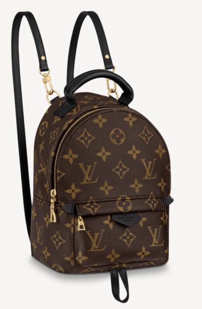 Louis Vuitton Mini Palm Spring Backpack 