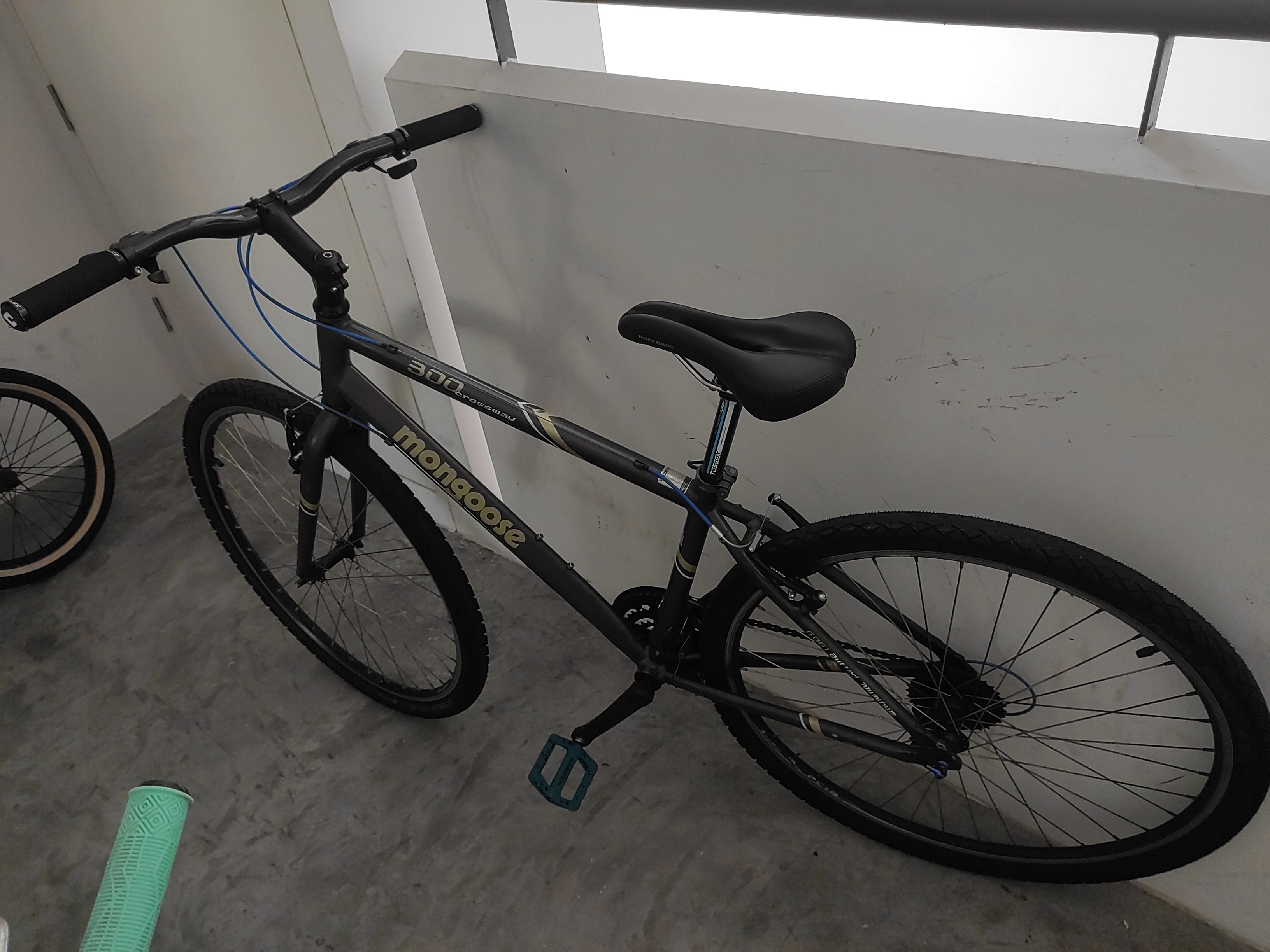 Mongoose hotsell crossway 100