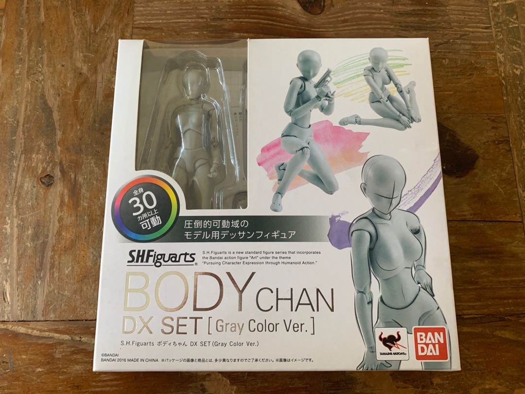 Body Chan DX Set (Grey Color Ver.)
