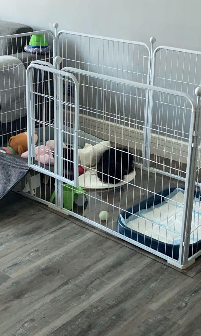 WTS Used Dog Playpen White Pet Supplies Homes Other Pet