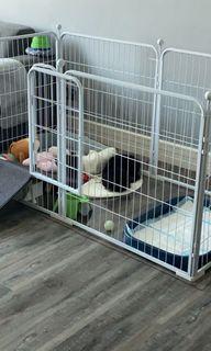 WTS : Used Dog Playpen (White) WTS : Used Dog Playpen (White)
