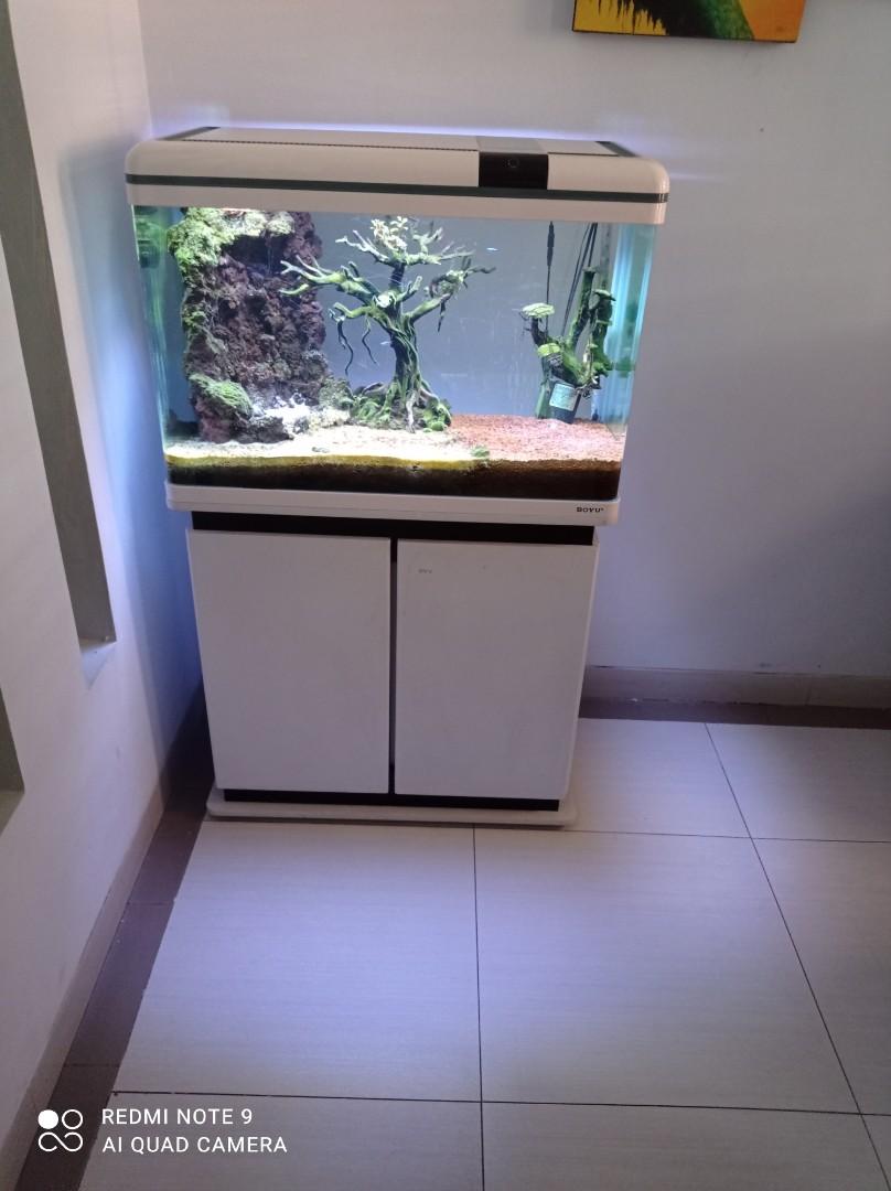 Aquarium Boyu Perabotan Rumah Di Carousell Aquarium boyu 2 meter