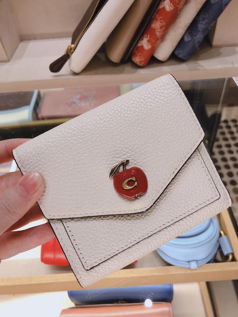 Coach on sale apple wallet