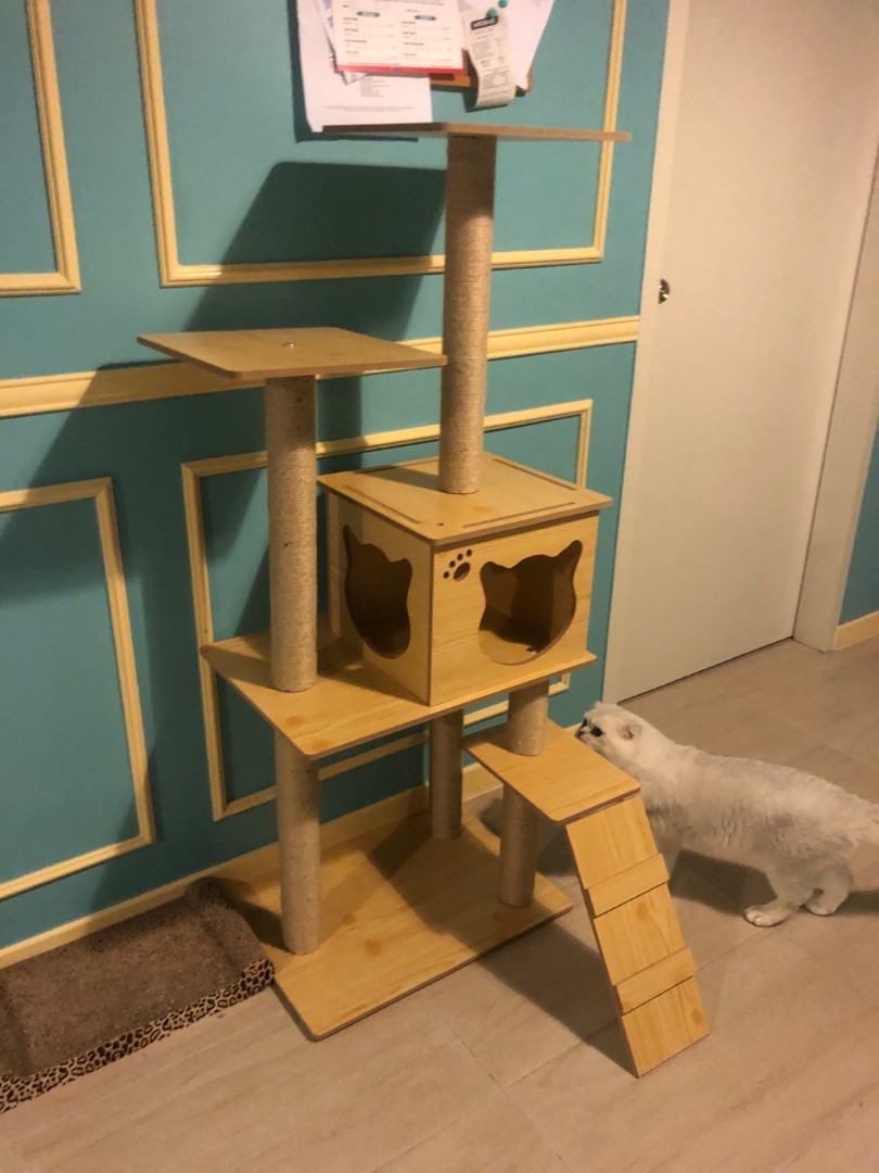 Free Post To West Malaysia Only Ready Stock H130cm Cat Tree Condo Bed Scratcher House Price For Each As Shown Sample Photos Free Delivery Is Applied For This Item Pet Supplies