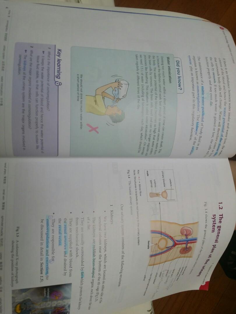 Mastering Biology E1 human physiology, 興趣及遊戲, 書本 & 文具, 教科書 - Carousell