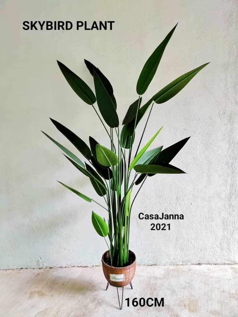 Pokok Skybird Premium Home Furniture Home Decor On Carousell