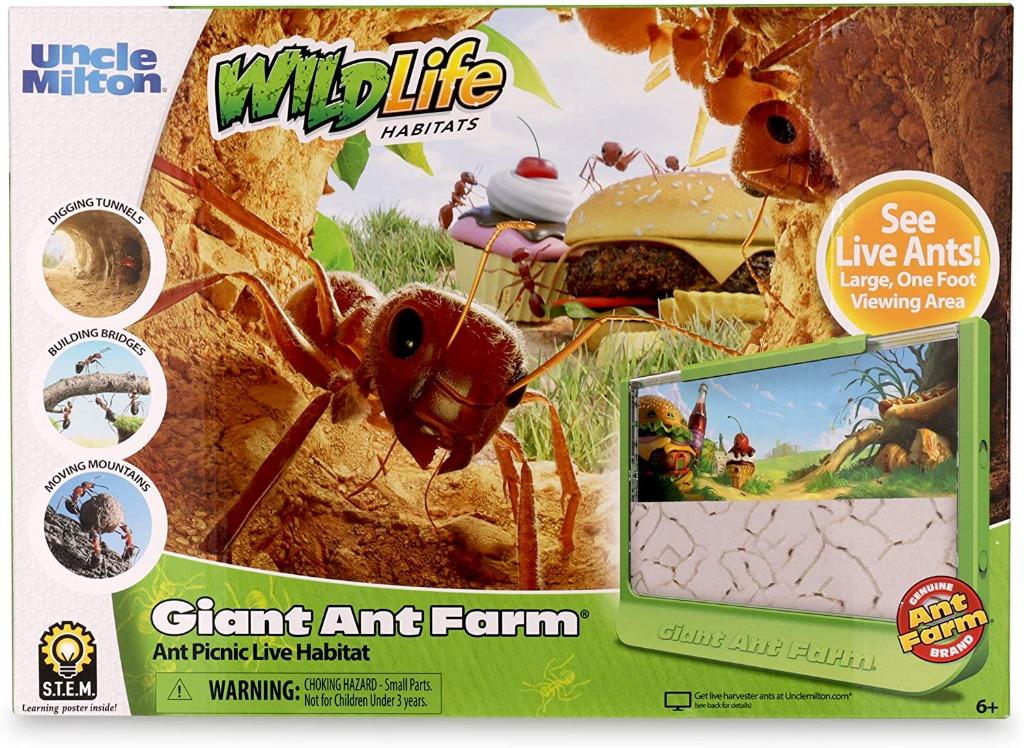 {READY STOCK} Uncle Milton Giant Ant Farm - Large Viewing Area - Care for Live Ants - Nature Learning Toy - Science DIY STEM Toy Kit (Category: Toys & Games) located in Singapore. Submitted by mwgexportsco (Listing ID 1101656458, Image 1). Description: Now kids can take an even bigger look at the amazing underground world of ants. The re-designed Giant Ant Farm now matches the sleek look and quality of the 60th ANT-iversary versions introduced la