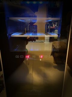 （分類：）位於 。 由 etsapwera 提交（商品編號 1101483951，圖片 1）。簡介： 。
