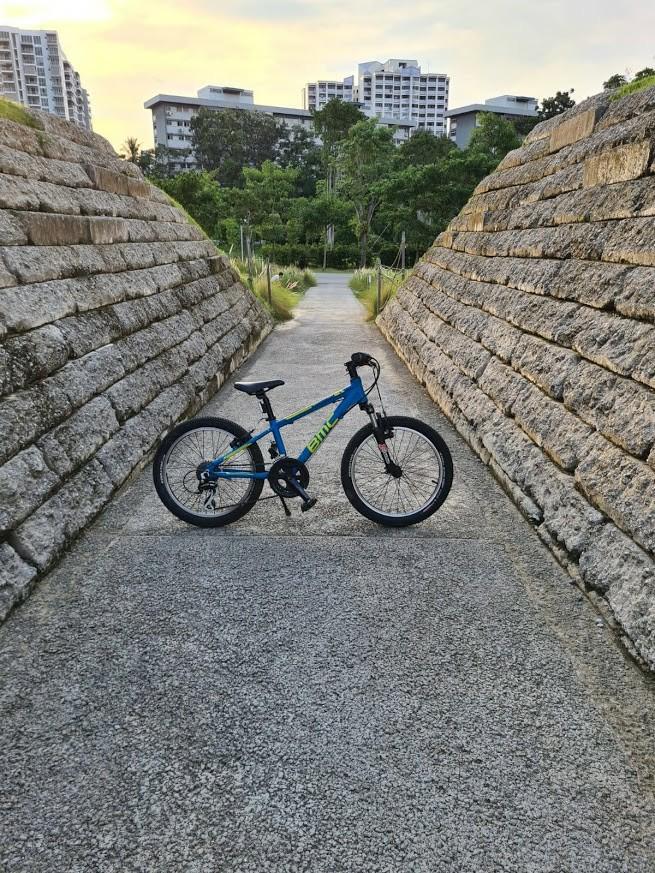 Bmc se20 top