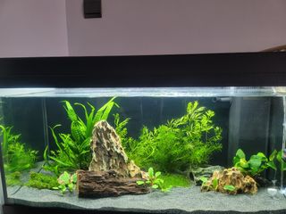 (Category: ) located in . Submitted by pudujail (Listing ID 1101870065, Image 1). Description: .