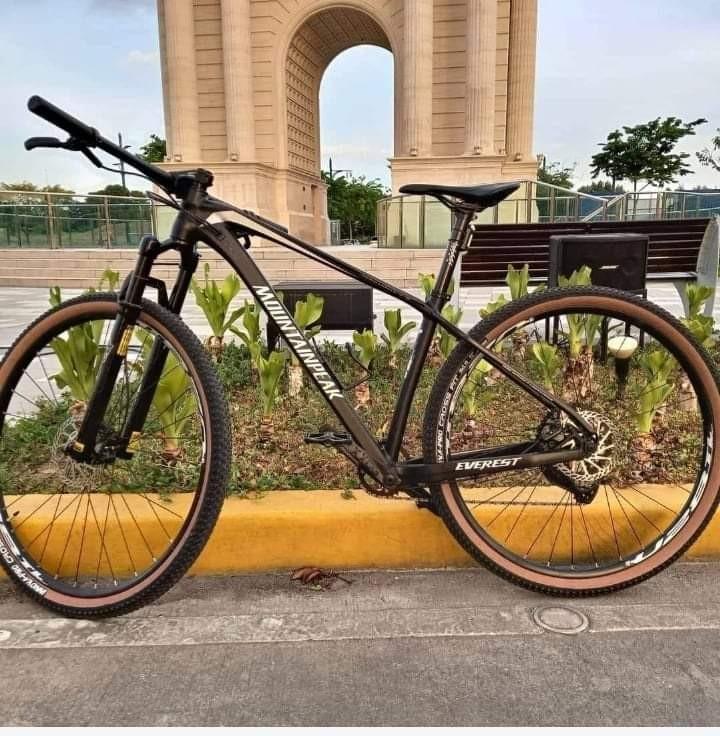 Mountain peak hot sale everest 29er