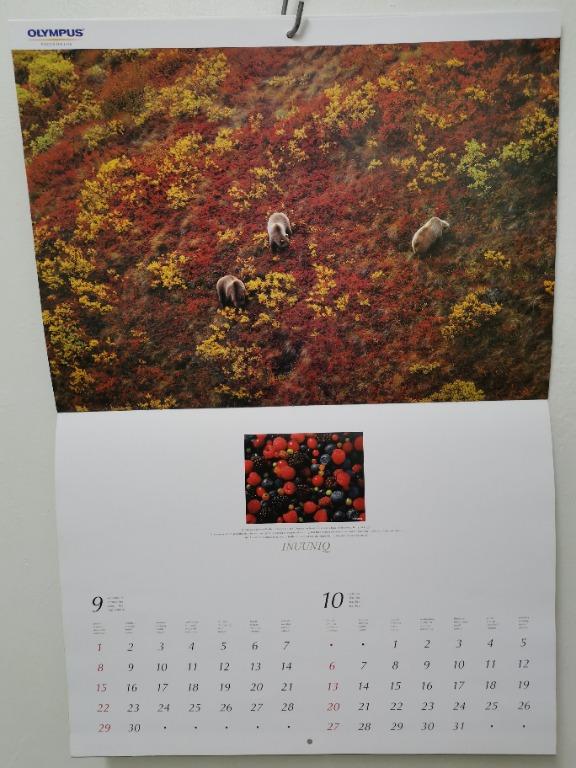 2002 Olympus Calendar , Photography, Lens & Kits on Carousell