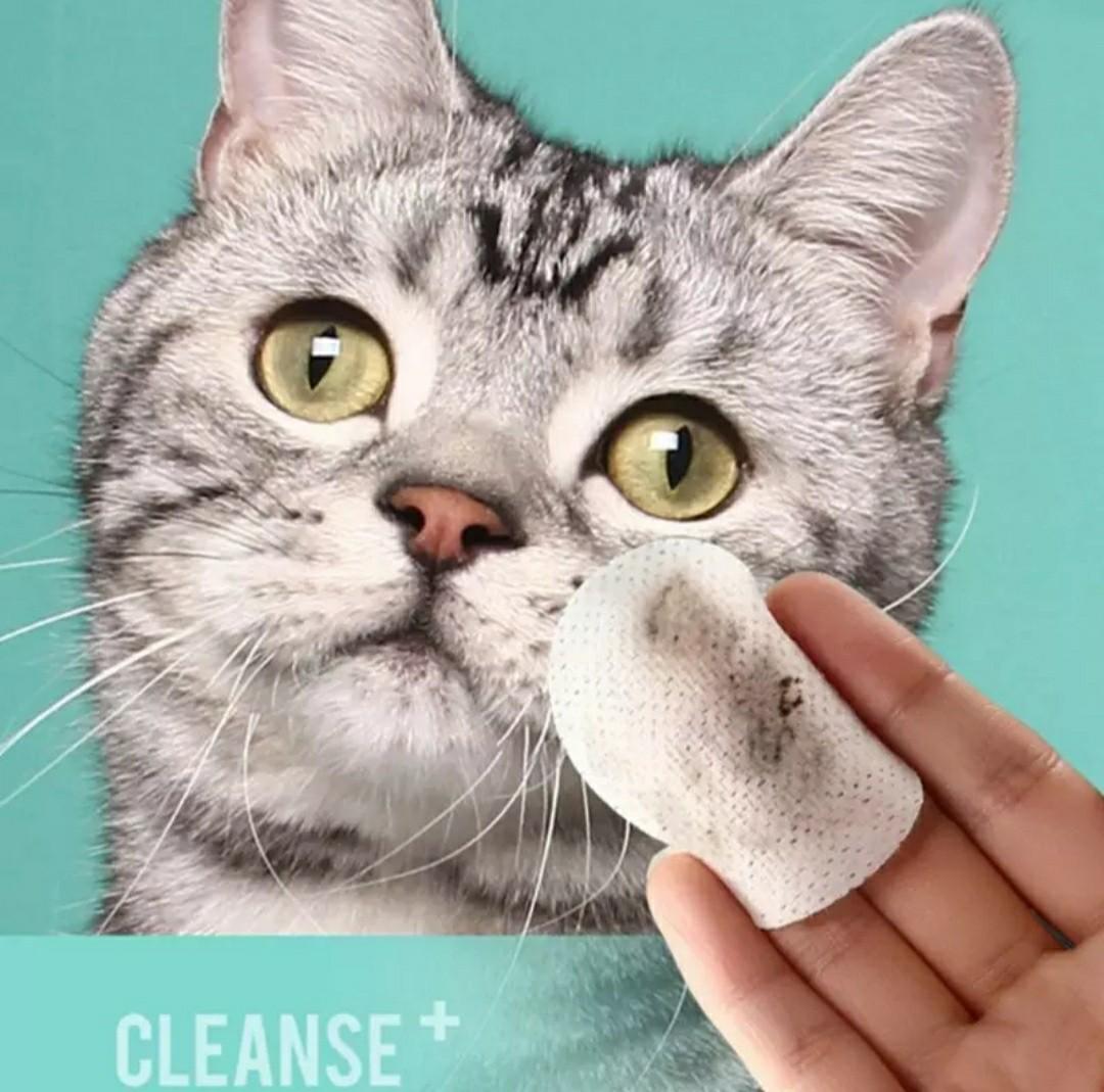 Kitten eye wipes outlet