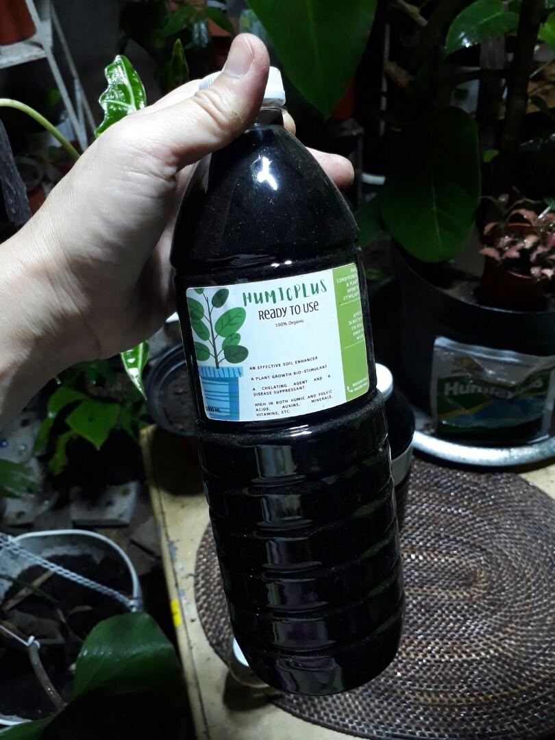 Garden needs- fertilizer & more (Category: Soil & Fertilisers) located in Antipolo. Submitted by blueshopvintage (Listing ID 1098048213, Image 1). Description: humicplus ready to use liquid fertilizer 45/ L osmocote in cute hello kitty glass bottle 100 loam soil 100 potting mix 100 rice hull 30/ kl pumice stone 30/kl cocopole bamboo 80/4ft cocopole pvc 65 /3ft.