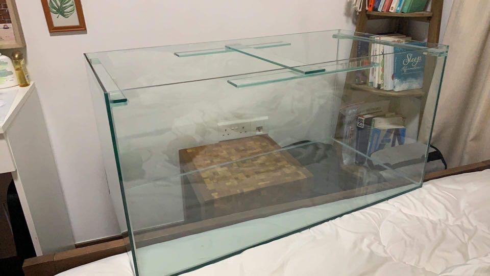 Glass fish tank for hamsters and gerbils, Pet Supplies, Homes & Other