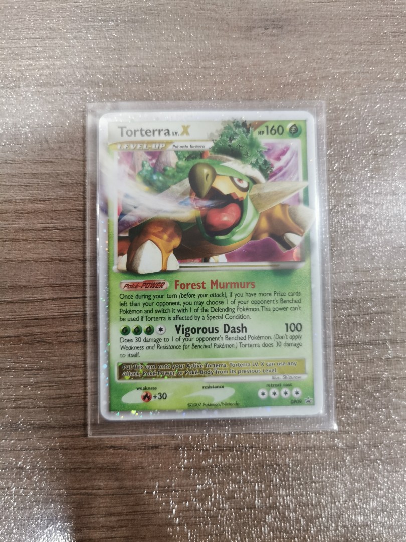 Torterra LV.X (DP09) [Diamond & Pearl: Black Star Promos]