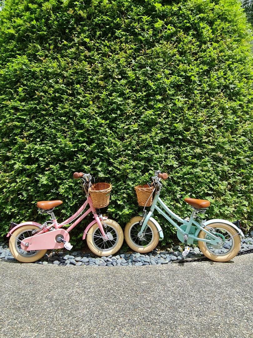 Bobbin Gingersnap 12 bicycle kids toddlers Sports Equipment Bicycles Parts Bicycles on Carousell