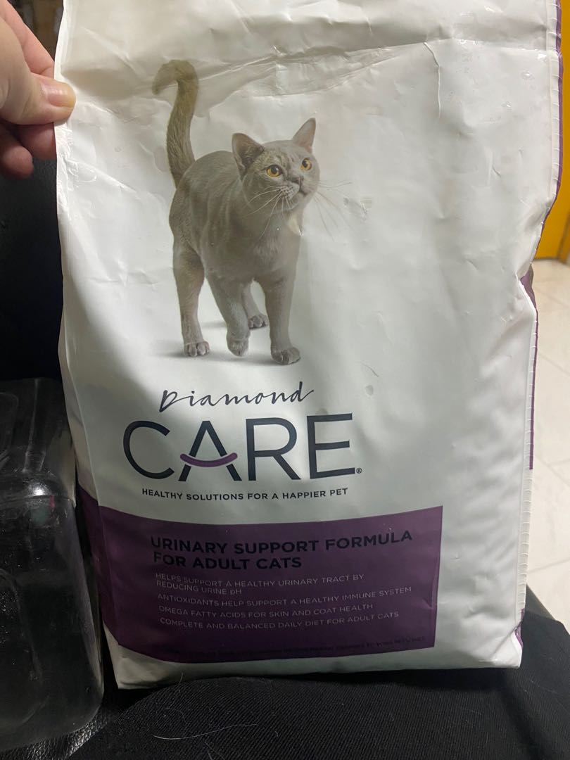 Diamond care cat kibbles, Pet Supplies, Pet Food on Carousell