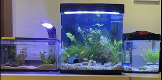 (Category: ) located in . Submitted by wsieben (Listing ID 1101996893, Image 1). Description: .