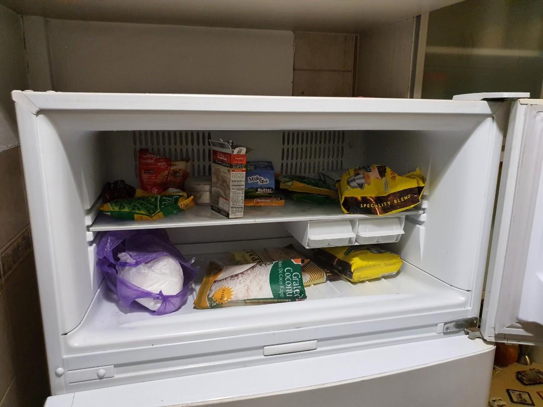 Fisher And Paykel Double Door 520 Litres Refrigerator, TV & Home Appliances, Kitchen Appliances