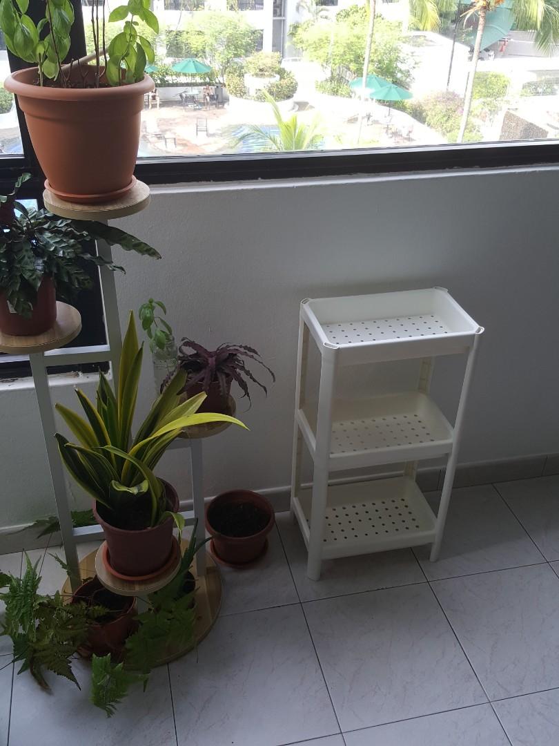 Ikea plastic bathroom shelves, Furniture & Home Living, Furniture