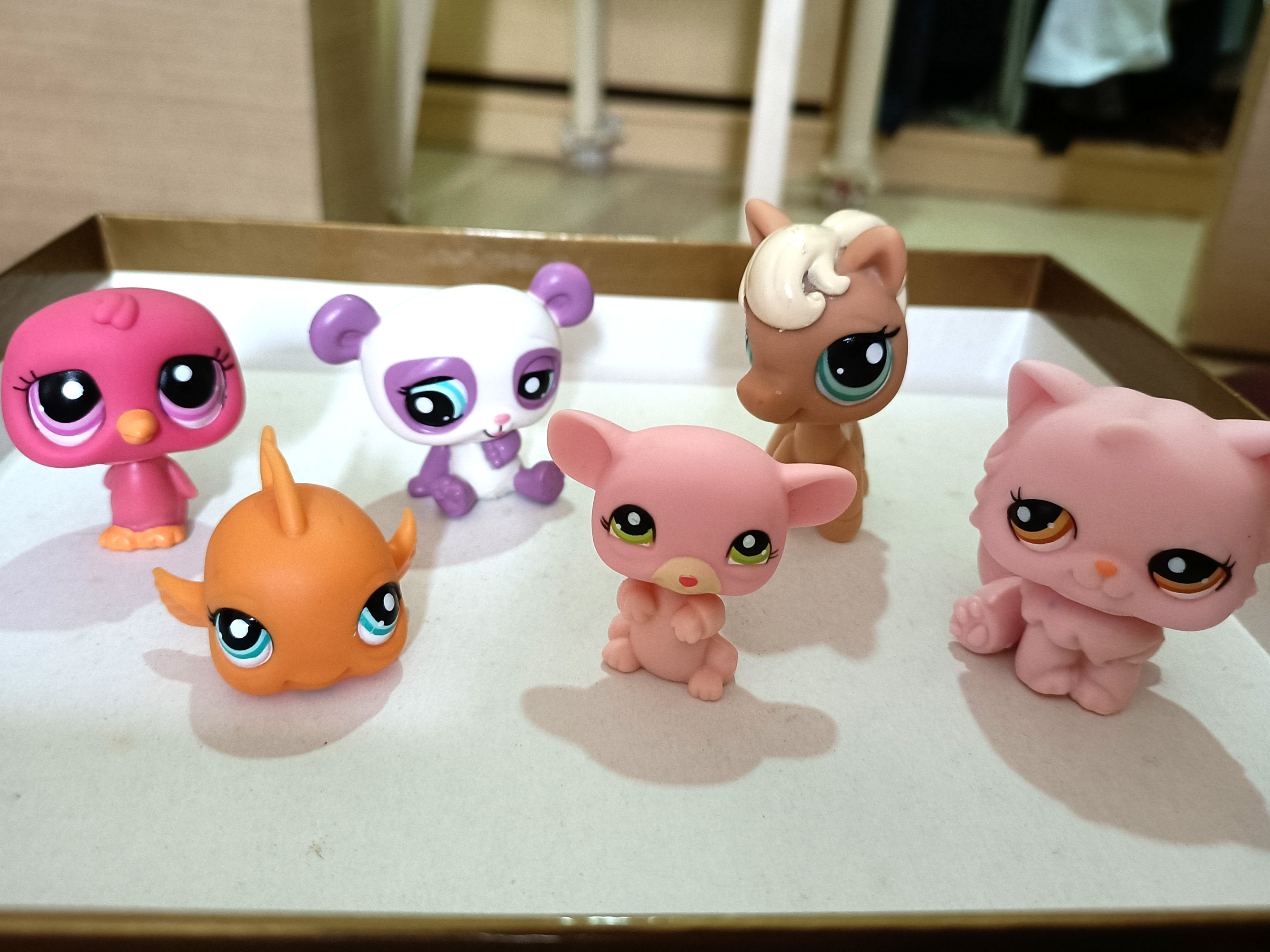 Littlest Pet Shop, Toys, 42 Littlest Pet Shop Blind Bags Pomeranian 84743  Pet