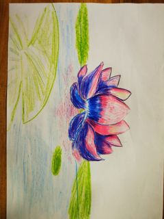(Category: ) located in . Submitted by figtree9033 (Listing ID 1101890074, Image 1). Description: .