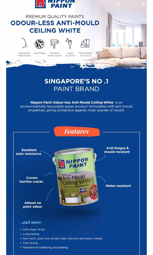 Nippon Paint Odourless 5L Anti Mould 5L new & unopened, Furniture