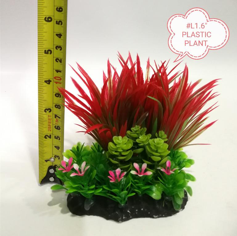 Cara Merawat Ikan Red Parrot Blood Parrot Cichlid Si Ikan Hibrida Gerava Com
