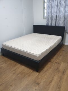 (Category: ) located in . Submitted by paigelum (Listing ID 1101898138, Image 1). Description: .