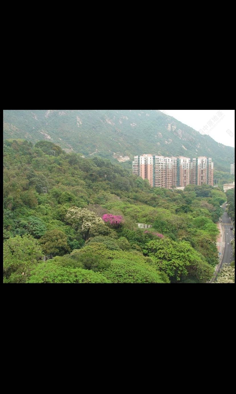 (分類:)位於 。 由 allycsh 提交(商品編號 1102135046,圖片 1)。簡介: 。