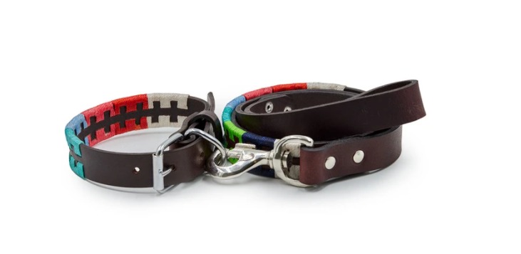 Dog collar set clearance
